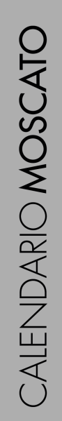 banner-v[1]